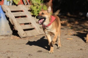 Fellfreunde Start 7 Fellfreunde Start