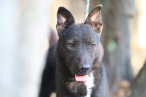 Fellfreunde Start 6 Fellfreunde Start