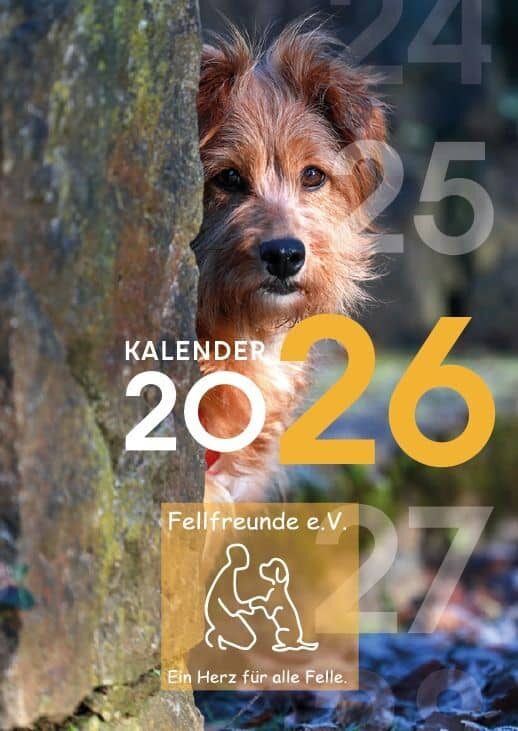 Fellfreunde The Wuff Street Journal 1 Fellfreunde The Wuff Street Journal