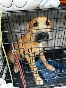 WhatsApp Bild 2025-10-20 um 07.58.54_b52622b6