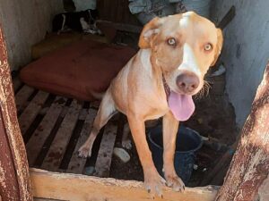 WhatsApp Bild 2025-10-20 um 08.29.56_d61ac2b3