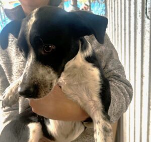 WhatsApp Bild 2025-10-20 um 08.29.57_5579ed4c