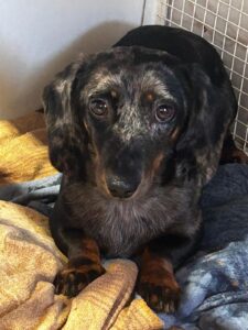 WhatsApp Bild 2025-10-20 um 08.43.09_b432884a