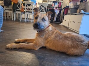 WhatsApp Image 2025-12-17 at 12.37.50