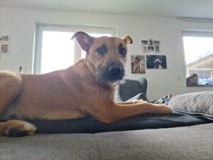 WhatsApp Image 2025-12-17 at 12.53.27