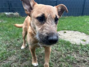 WhatsApp Image 2025-12-17 at 15.52.46 (1)