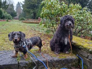 WhatsApp Image 2026-01-15 at 21.01.01 (1)