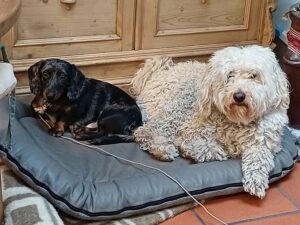 WhatsApp Image 2026-01-15 at 21.01.01