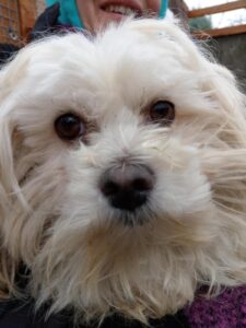 Fellfreunde Start 11 Fellfreunde Start