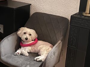 WhatsApp Bild 2025-12-09 um 16.25.24_76d98d9e