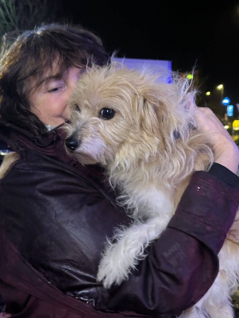 Fellfreunde Manchmal beginnt alles mit einer Fahrt