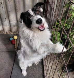 WhatsApp Image 2025-11-15 at 13.32.35