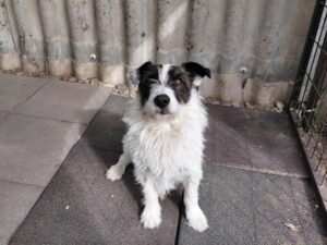 WhatsApp Image 2025-11-15 at 13.32.46