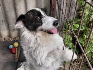 WhatsApp Image 2025-11-15 at 13.33.02