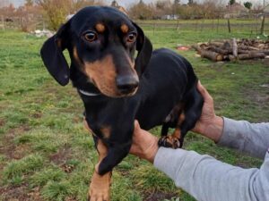 WhatsApp Image 2025-11-22 at 11.33.42