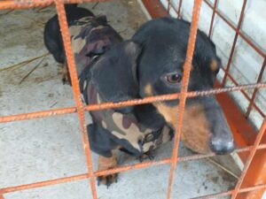 WhatsApp Image 2025-11-22 at 11.36.44