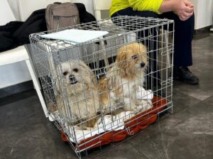 WhatsApp Image 2025-12-16 at 14.14.03 (1)