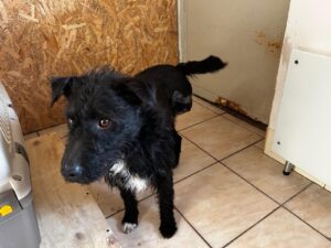 WhatsApp Image 2026-01-20 at 15.43.33 (1)