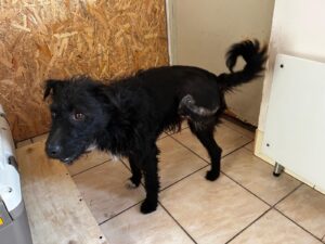 WhatsApp Image 2026-01-20 at 15.43.33 (2)