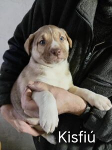 Fellfreunde Start 6 Fellfreunde Start