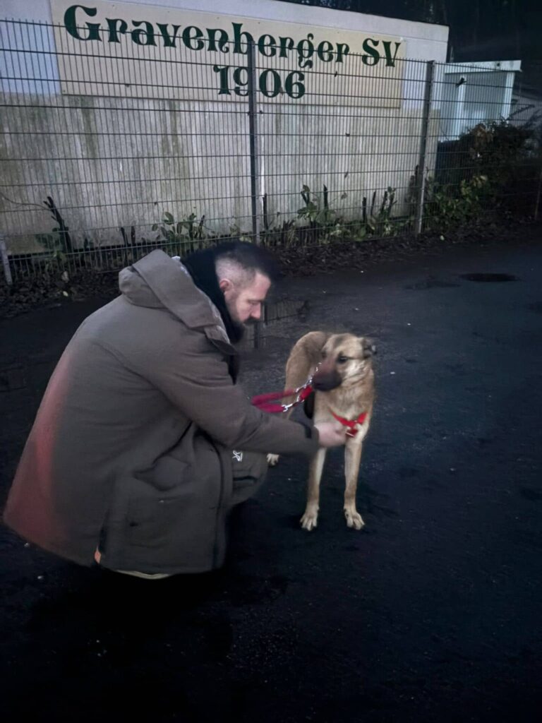 Fellfreunde Zwei Vierbeiner auf Reisen