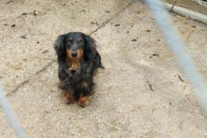 WhatsApp Image 2026-02-26 at 14.23.17