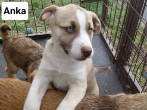 WhatsApp Image 2026-03-04 at 00.25.03