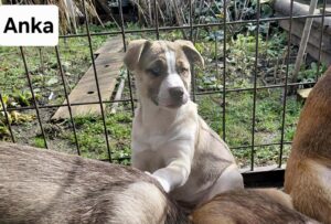 WhatsApp Image 2026-03-04 at 00.25.17