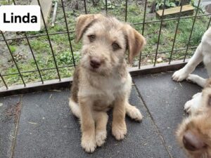 WhatsApp Image 2026-03-04 at 00.25.41