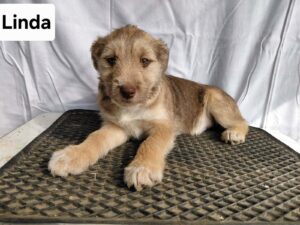 WhatsApp Image 2026-03-04 at 00.25.51