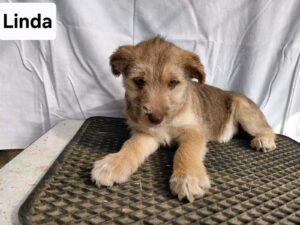 WhatsApp Image 2026-03-04 at 00.26.00