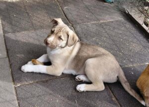 WhatsApp Image 2026-03-04 at 00.26.25