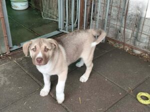 WhatsApp Image 2026-03-04 at 00.26.36