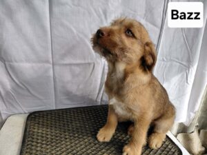 WhatsApp Image 2026-03-04 at 00.27.07