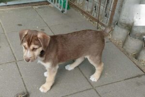 WhatsApp Image 2026-03-04 at 00.27.25