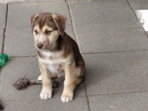 WhatsApp Image 2026-03-04 at 00.27.33