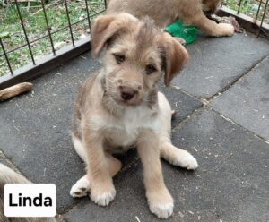 WhatsApp Image 2026-03-04 at 00.28.02