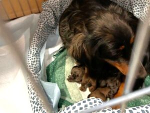 619265251_1204489245199344_8765463728883979332_n