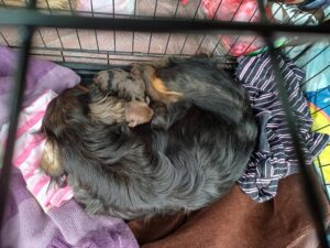 619960705_1204489171866018_9190082633080301706_n