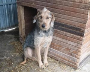 623094955_1212121321102803_5636859318841155449_n