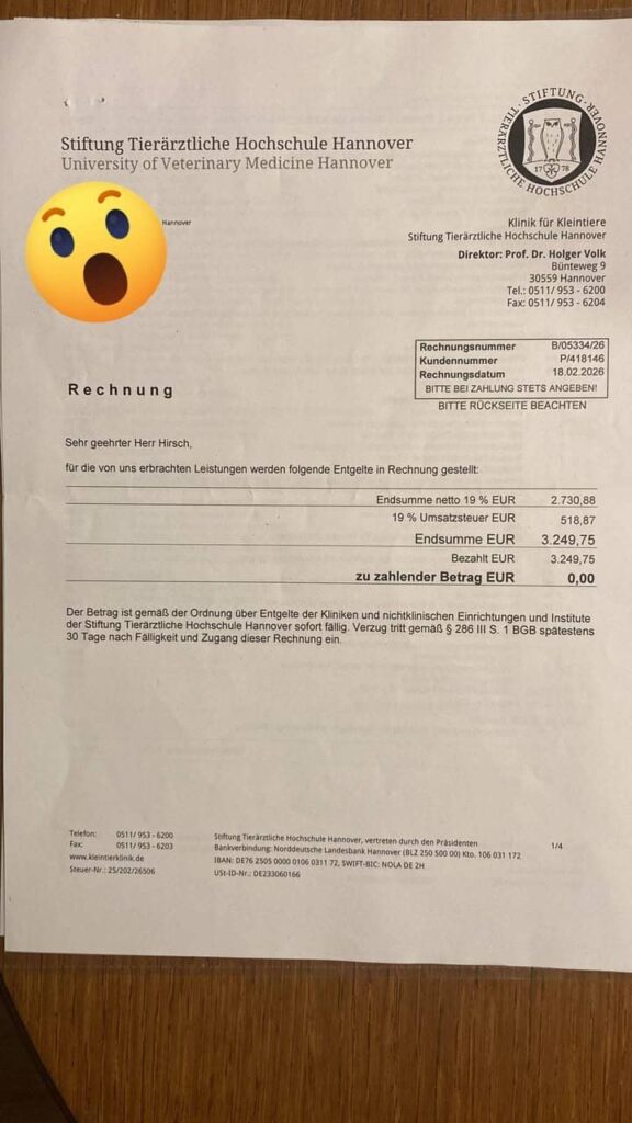 Fellfreunde Bitte helft uns, Katis OP-Kosten zu stemmen