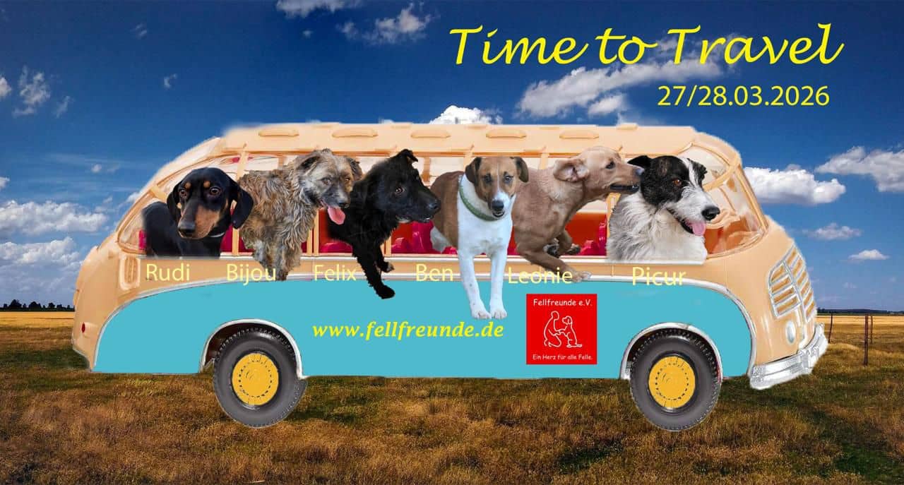 Fellfreunde Start 1 Fellfreunde Start