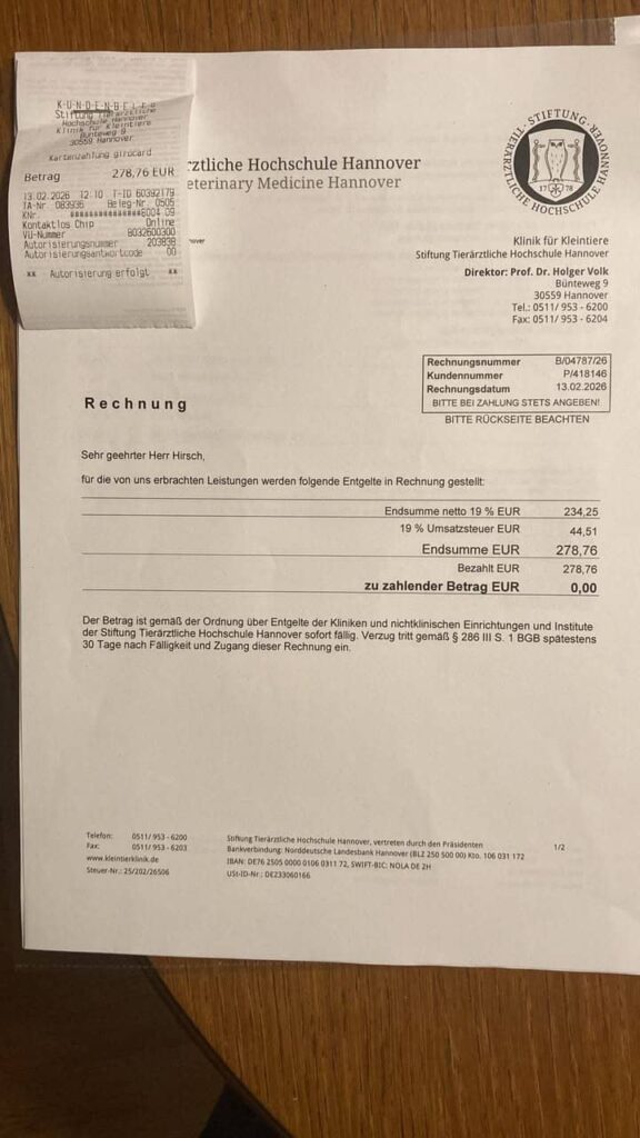 Fellfreunde Bitte helft uns, Katis OP-Kosten zu stemmen