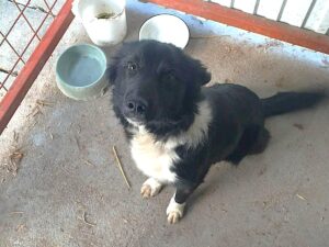 WhatsApp Image 2026-01-02 at 17.22.40