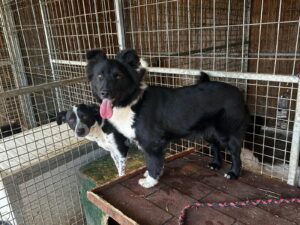 WhatsApp Image 2026-03-10 at 08.44.01