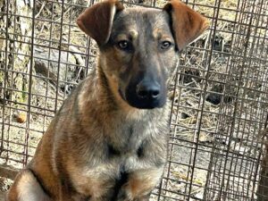 WhatsApp Image 2026-03-10 at 08.53.09