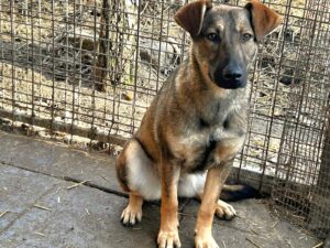 WhatsApp Image 2026-03-10 at 08.53.09