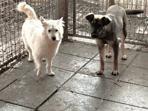 WhatsApp Image 2026-03-10 at 08.53.10 (1)