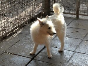 WhatsApp Image 2026-03-10 at 08.53.10 (2)