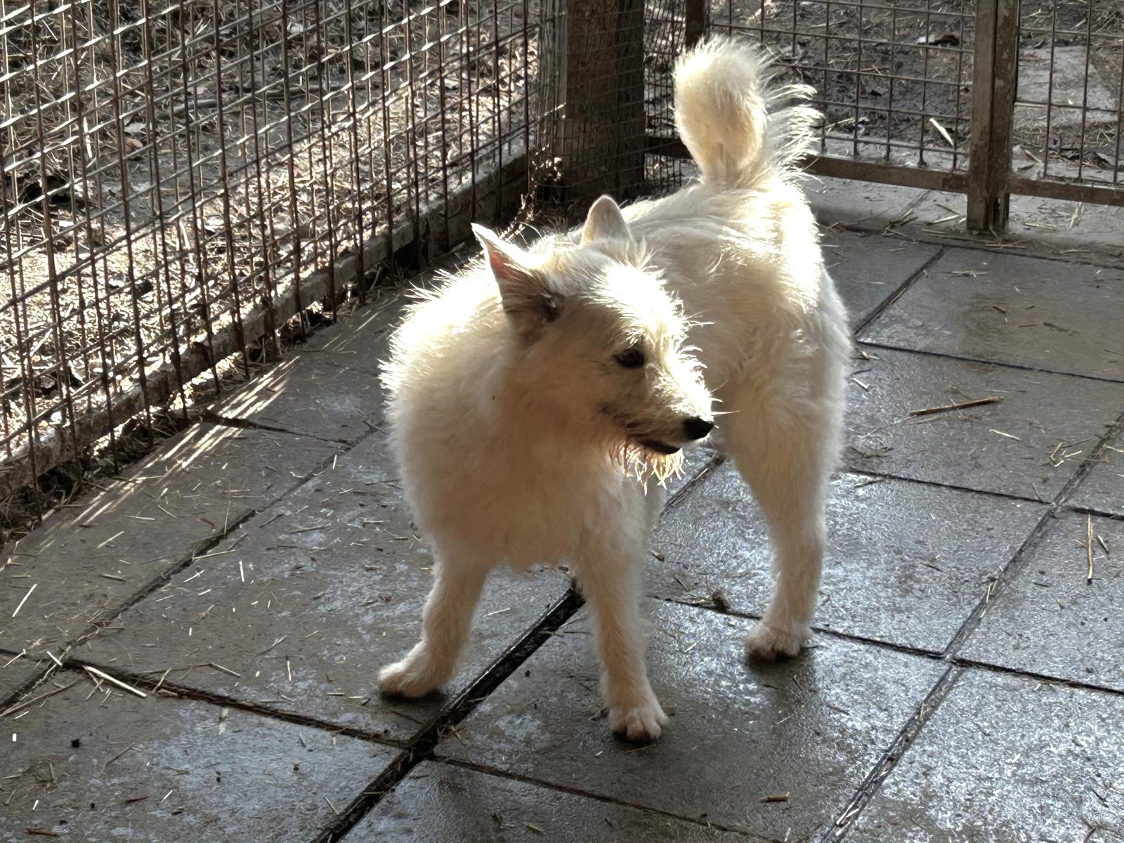 WhatsApp Image 2026-03-10 at 08.53.10 (2)